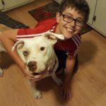 ***A young boy smiles while giving a hug to a white dog.