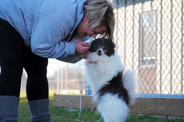 A 4 Luv of Dog Rescue volunteer bends over to hold the front paws of a fluffy black and white dog. The dog is standing on two legs and looking at the camera.