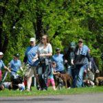 A large group of people stand in a park with their dogs.