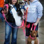 One woman holds two dogs while a second woman has a brown dog on a leash