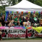 Many volunteers pose at two tables in a park