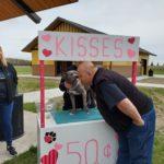 A man leans forward toward a black dog to get a kiss at a kissing booth