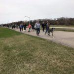 A long line of people walk down a sidewalk with dogs