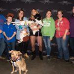 A group of various people pose together with dogs