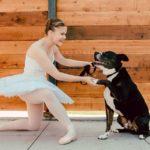 A ballerina poses with a smiling black and white dog