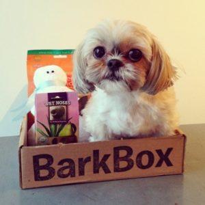 A small shaggy dog sits in a BarkBox box alongside treats and a toy