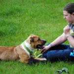 A woman holds a closed palm to her chest. A brown and white dog lays in front of her. It's implied that the hand holds a treat, and the dog is excited.