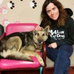 A woman in a 4 Luv of Dog Rescue sweatshirt poses with a German Shepherd.