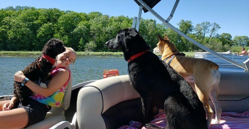 A black and brown dog sit on a boat alongside a woman with a third small fluffy dog on her lap