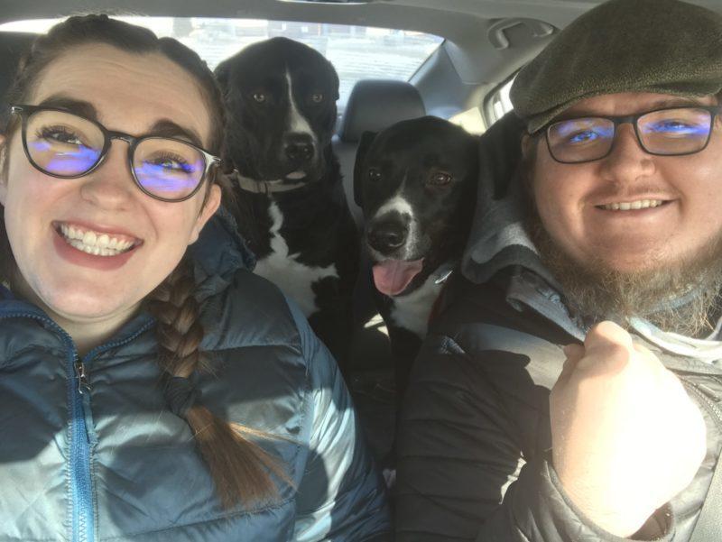 A man and woman sit in a car with two black and white dogs in the backseat.