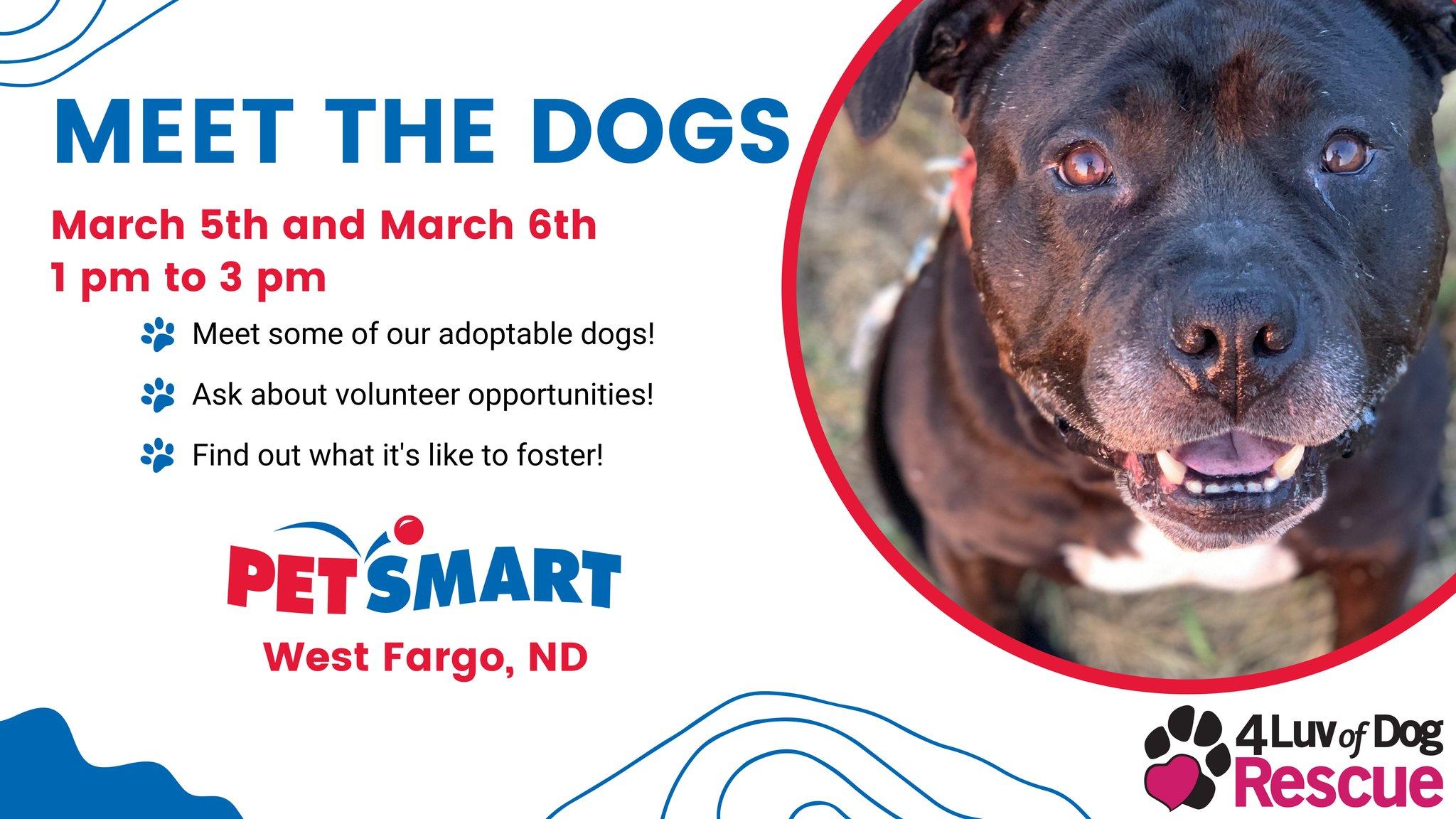 4 Luv of Dog Rescue Meet the Dogs Event - March 5-6, 2022