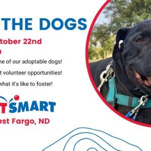 4 Luv of Dog Rescue Meet the Dogs Event - October 22, 2022