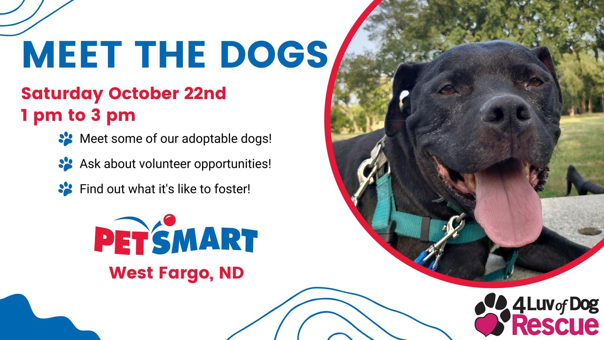 4 Luv of Dog Rescue Meet the Dogs Event - October 22, 2022