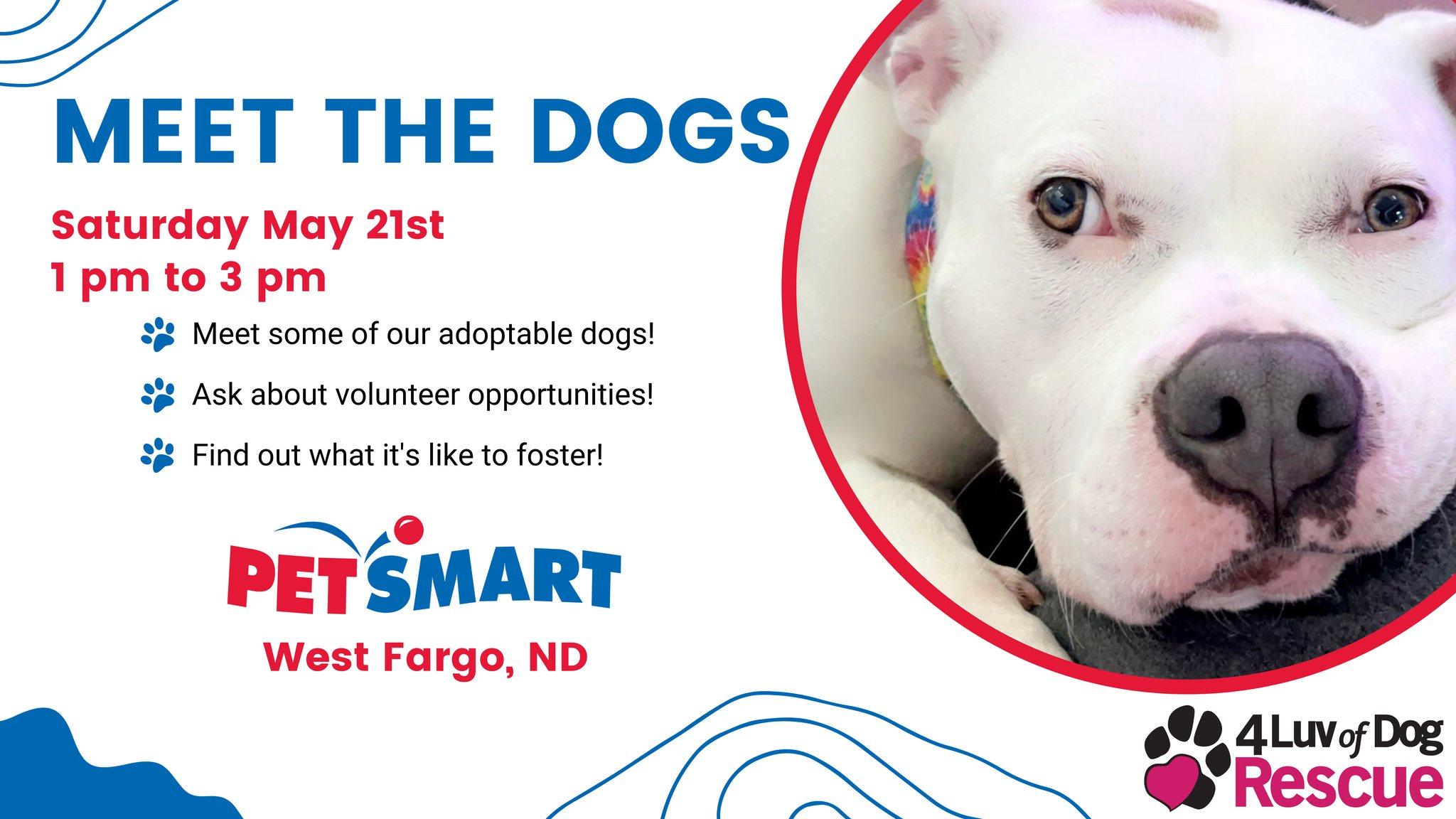 4 Luv of Dog Rescue Meet the Dogs Event - May 21, 2022