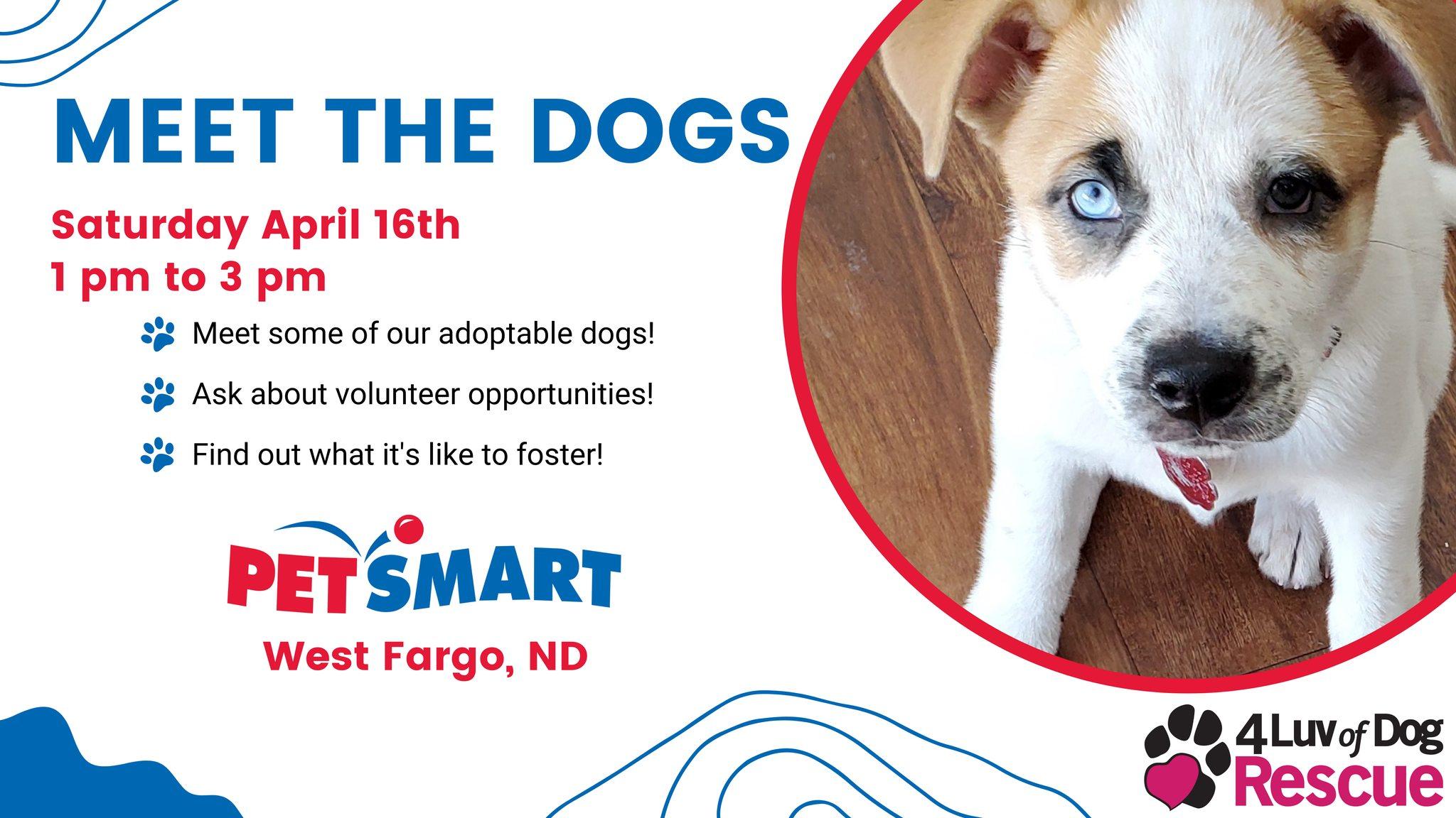 4 Luv of Dog Rescue Meet the Dogs Event - April 16, 2022