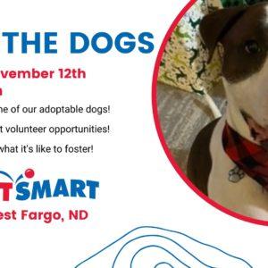 4 Luv of Dog Rescue Meet the Dogs Event - November 12, 2022