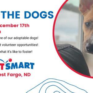 4 Luv of Dog Rescue Meet the Dogs Event - December 17, 2022