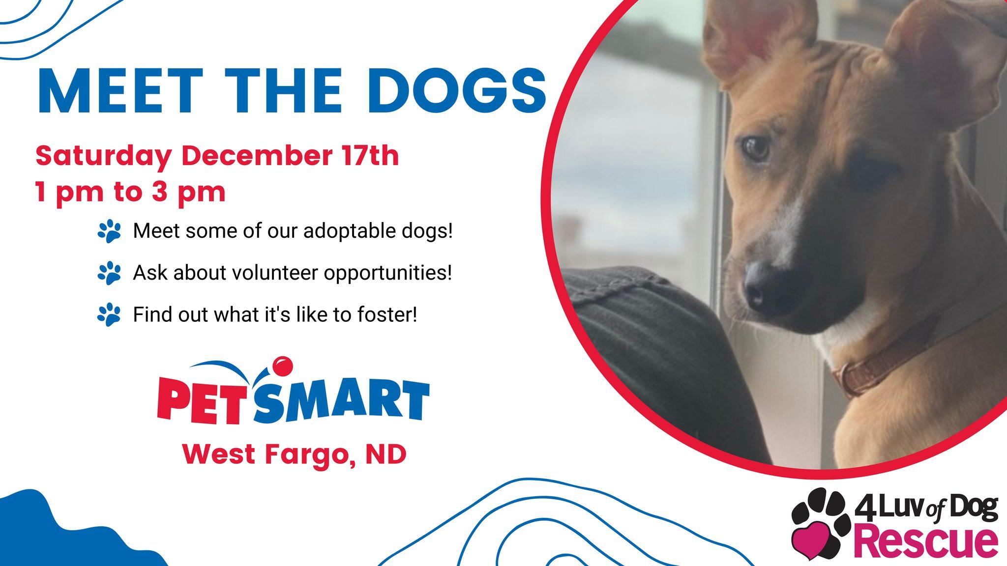 4 Luv of Dog Rescue Meet the Dogs Event - December 17, 2022