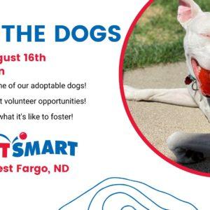 4 Luv of Dog Rescue Meet the Dogs Event - August 16, 2022