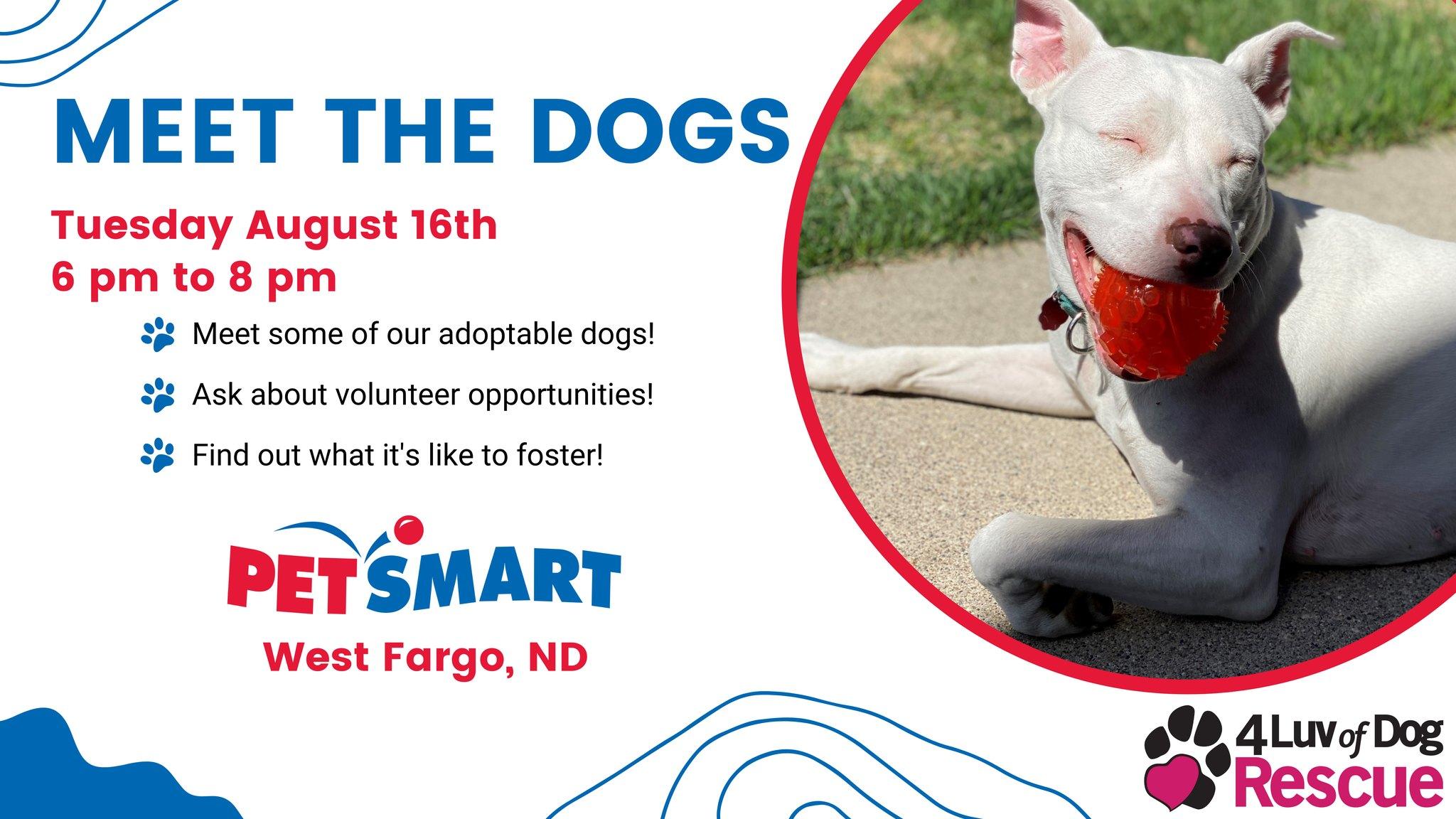 4 Luv of Dog Rescue Meet the Dogs Event - August 16, 2022