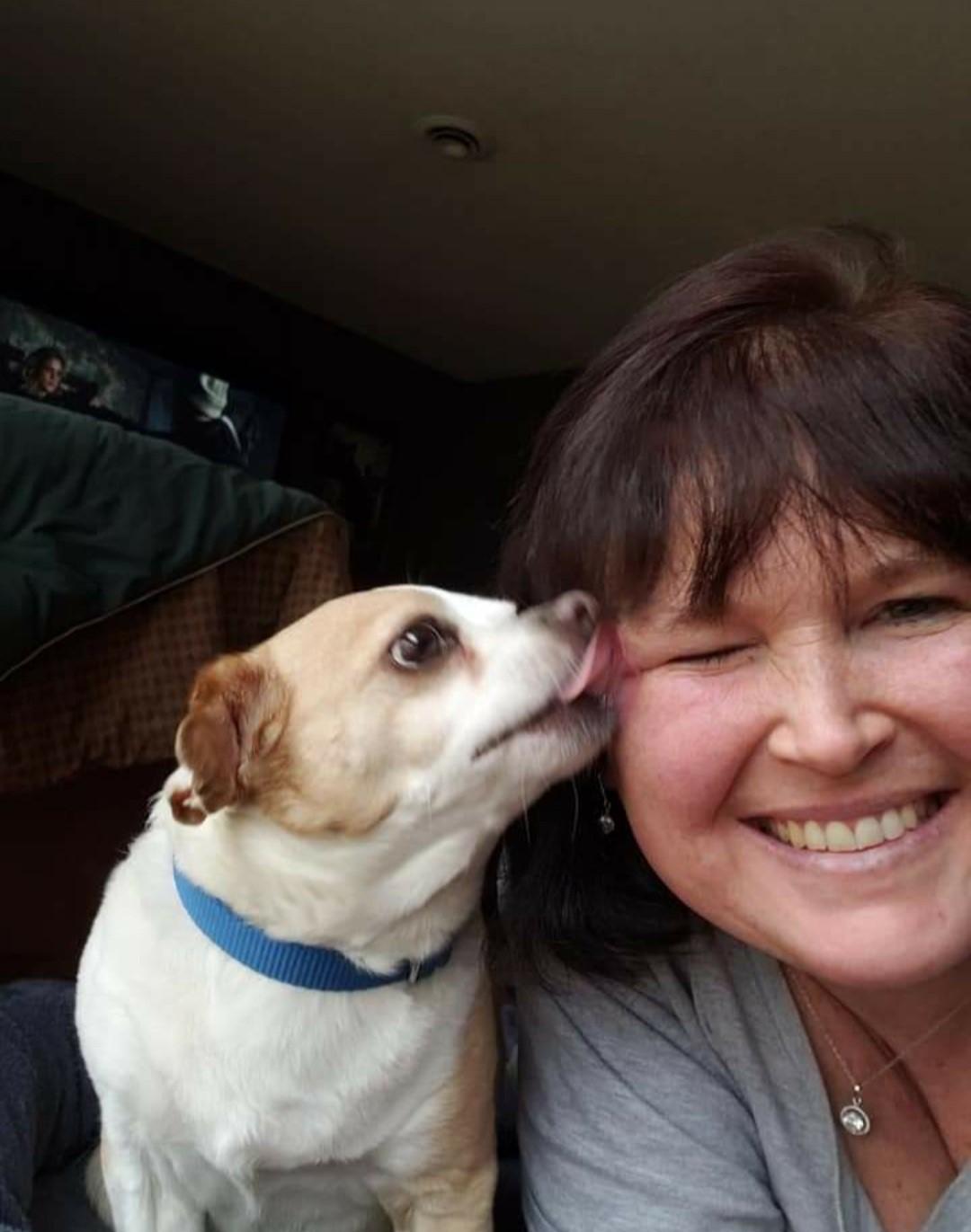 A woman takes a selfie while a small white and brown dog licks her face.