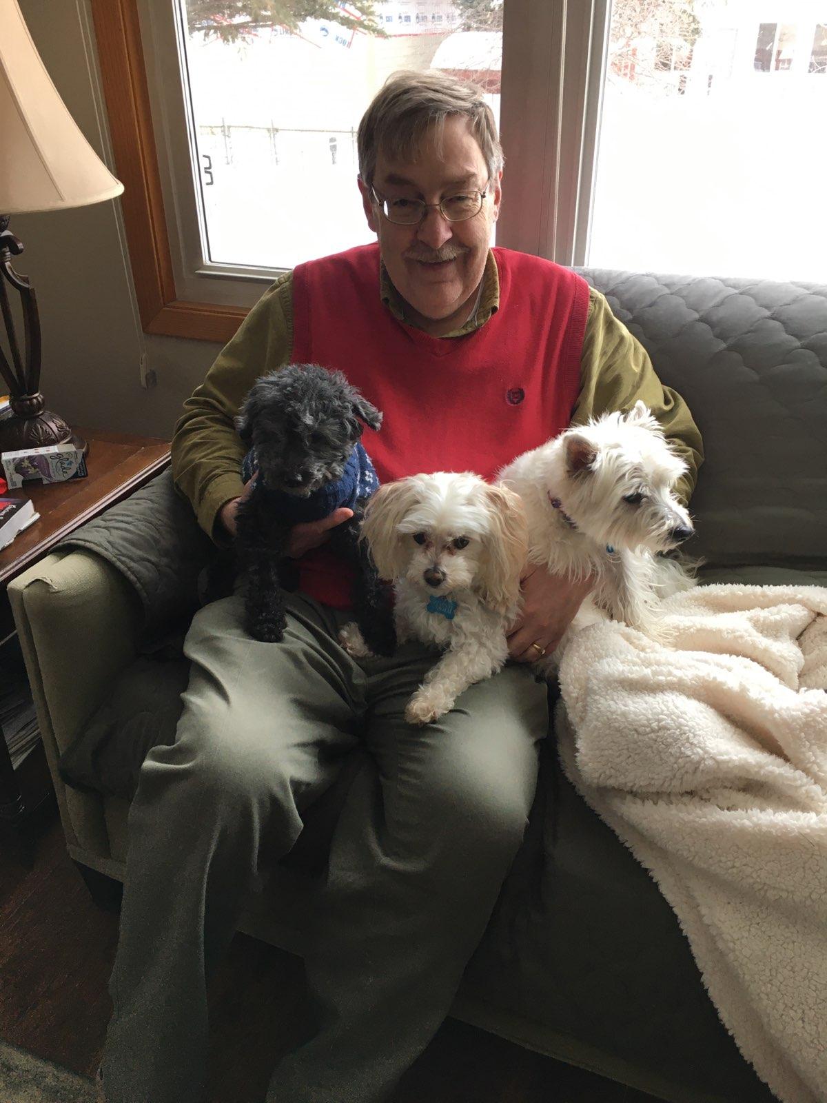 An older man sits on a couch with four small dogs in his lap.