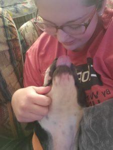 A dog is mid-lick, trying to slurp a woman's face.