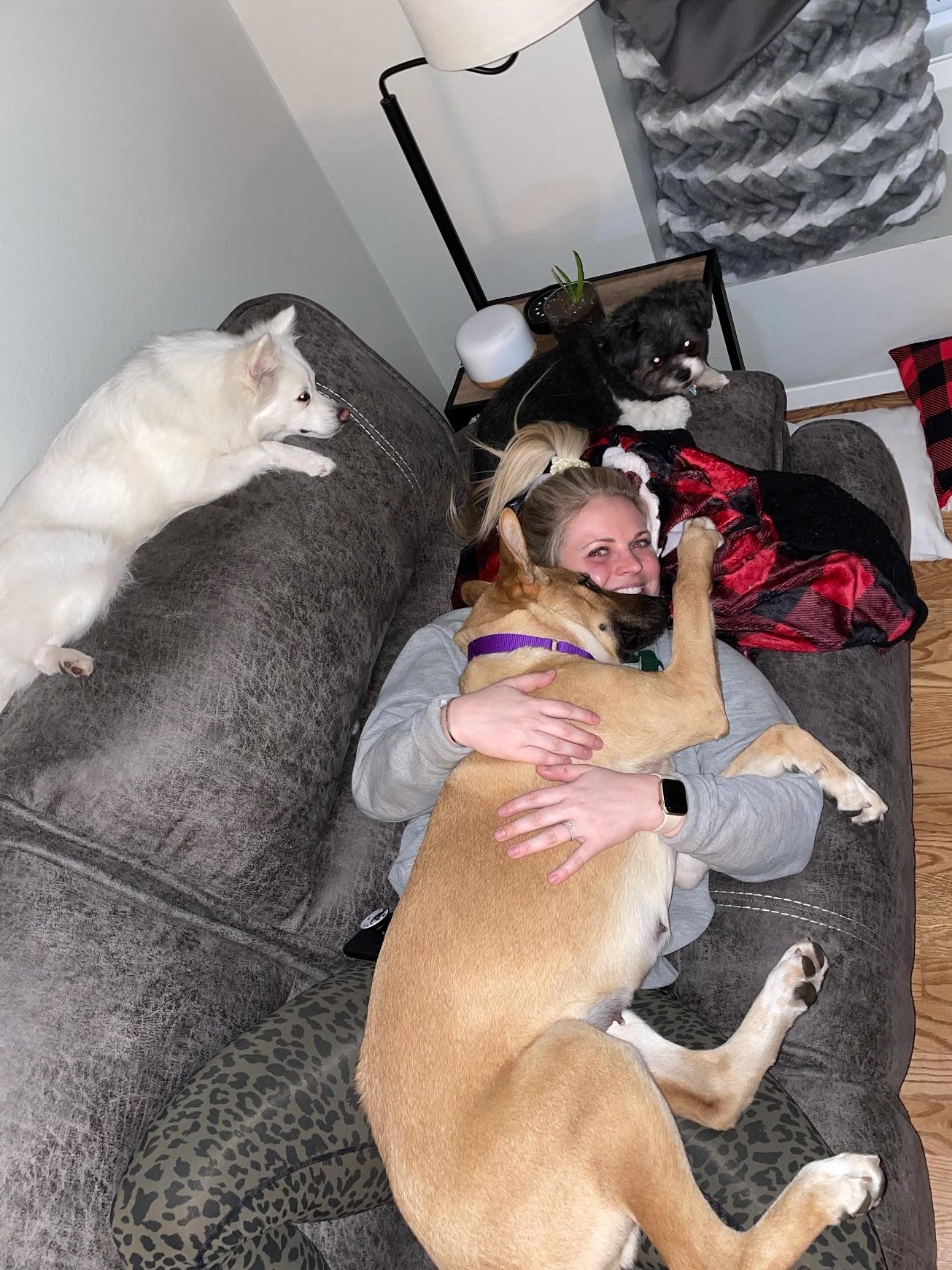 A woman lays on a grey couch with a big brown dog on top of her and a smaller white dog on the top of the seats.