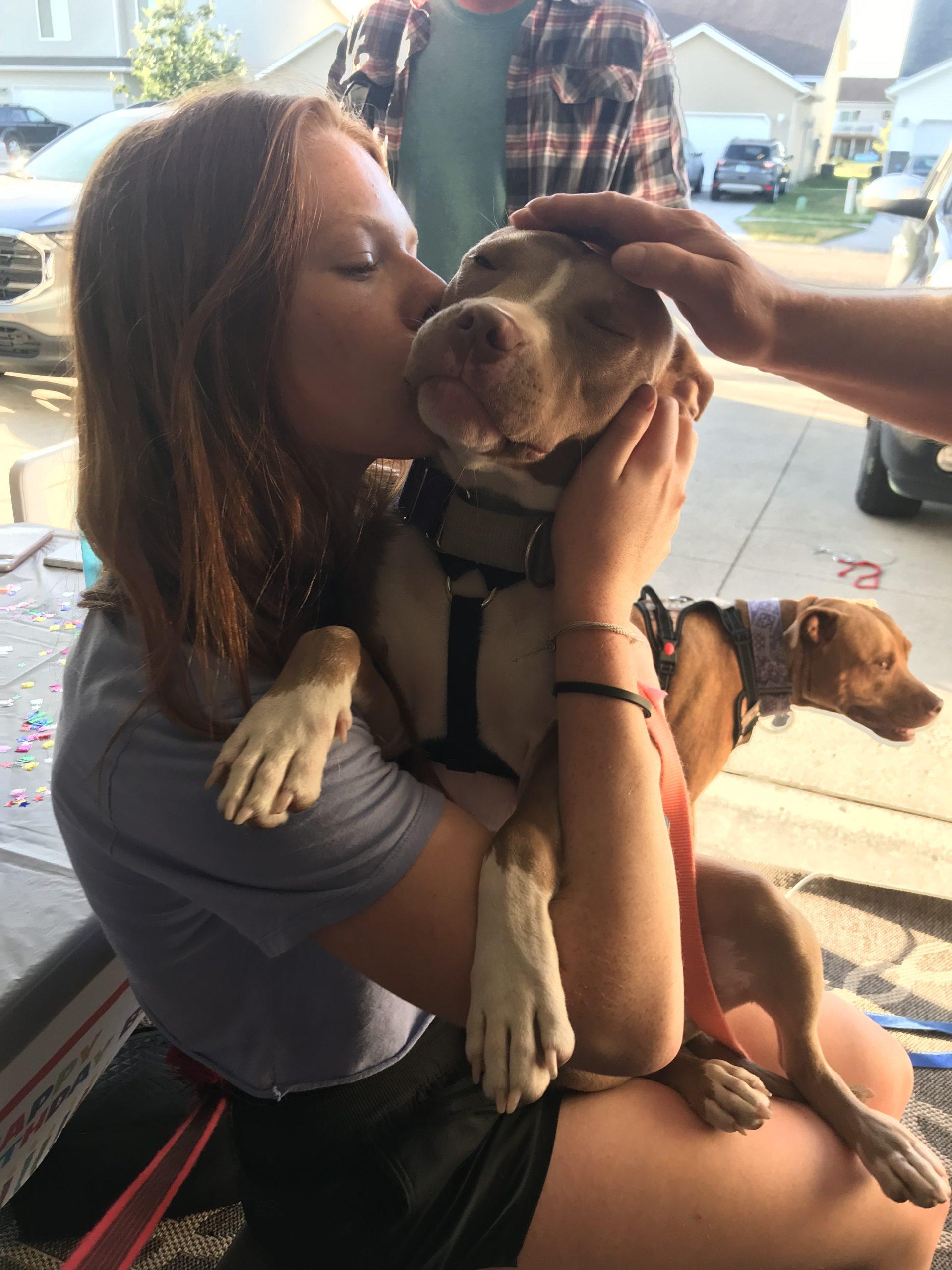A woman kisses a small pitbull on the cheek while another person pats its head.