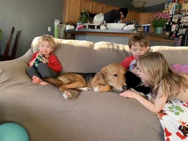 Three children sit on a couch with a brown dog.