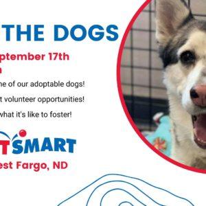 4 Luv of Dog Rescue Meet the Dogs Event - September 17, 2022