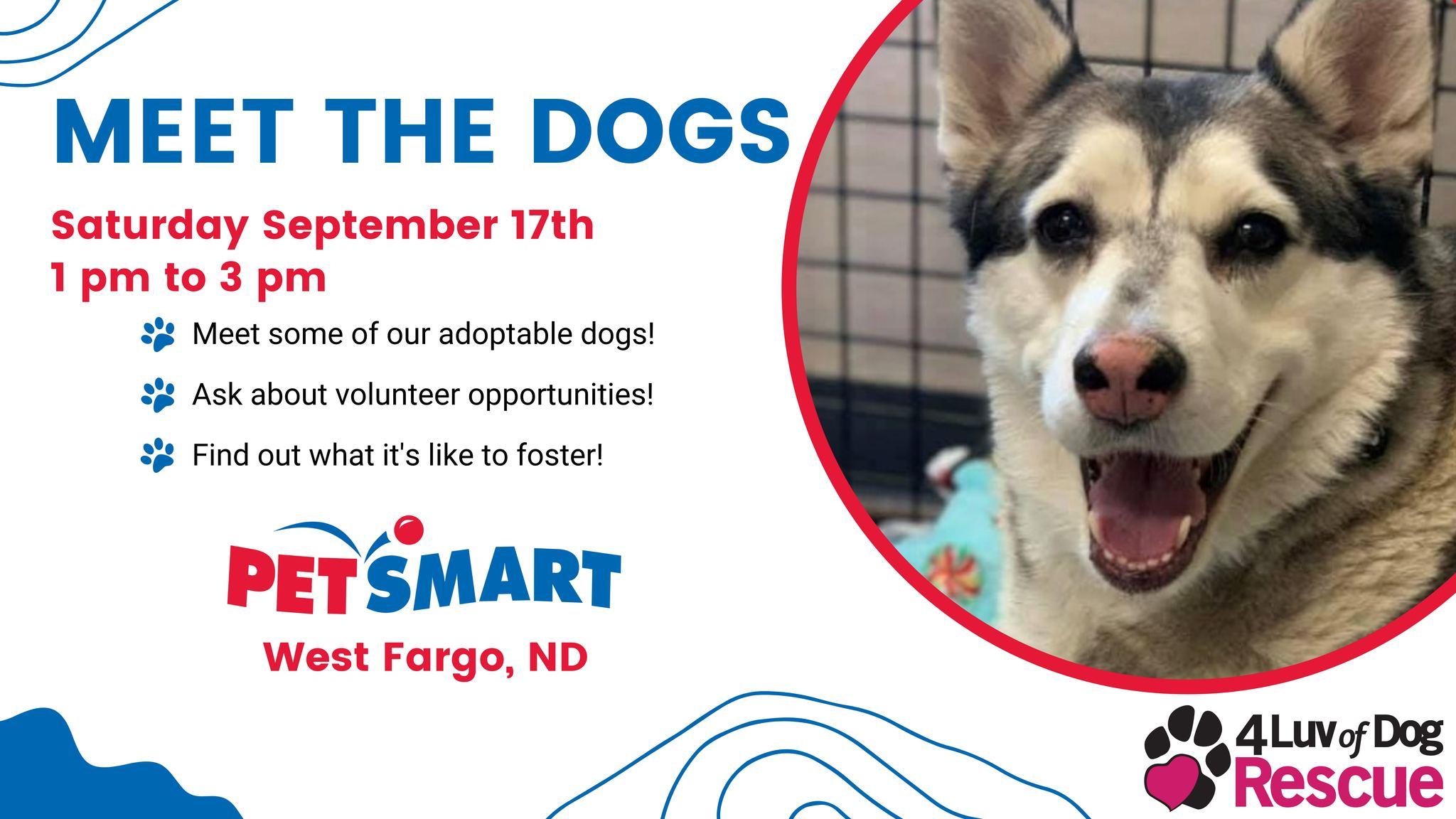 4 Luv of Dog Rescue Meet the Dogs Event - September 17, 2022