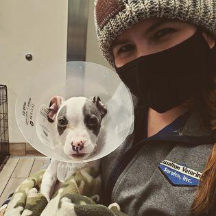 A woman wearing a face mask holds a small white and grey dog wearing a cone.