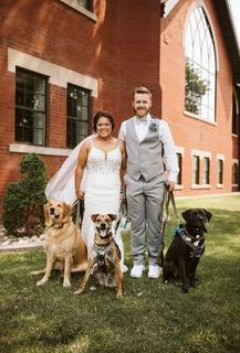 A bride and groom stand outside a church with their three dogs by their sides.