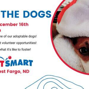 Meet the Dogs - West Fargo, ND PetSmart Event - December 16, 2023
