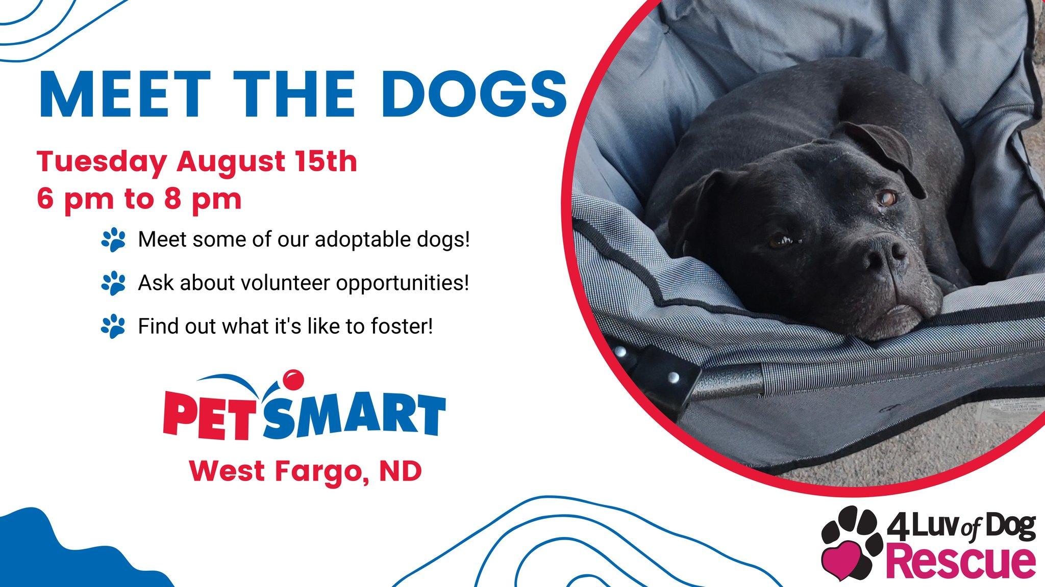 Meet the Dogs - West Fargo, ND PetSmart Event - August 15, 2023