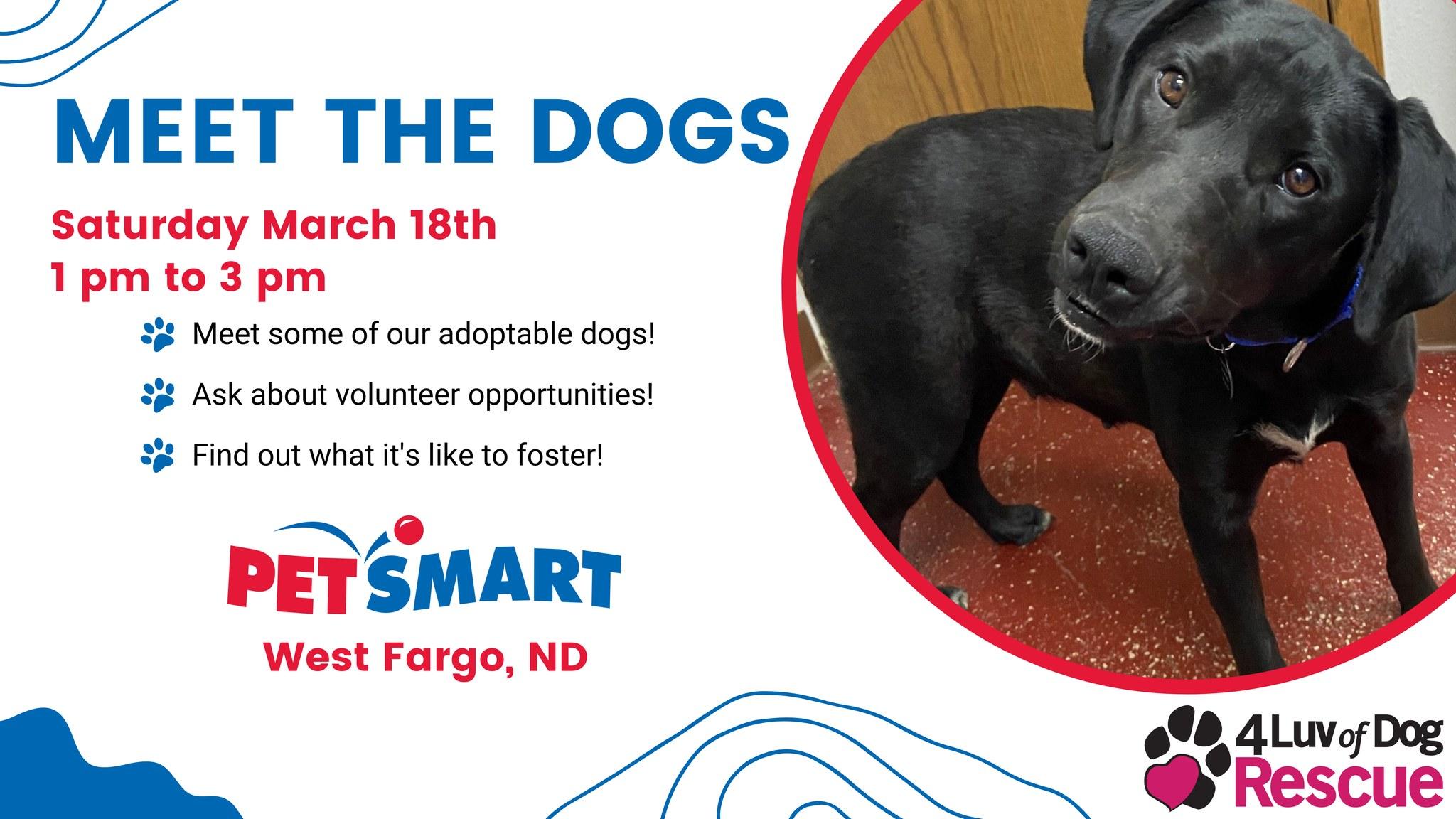 Meet the Dogs - West Fargo, ND PetSmart Event - March 18, 2023
