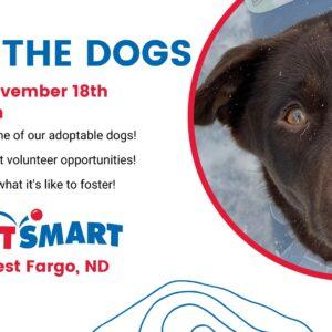 Meet the Dogs - West Fargo, ND PetSmart Event - November 18, 2023