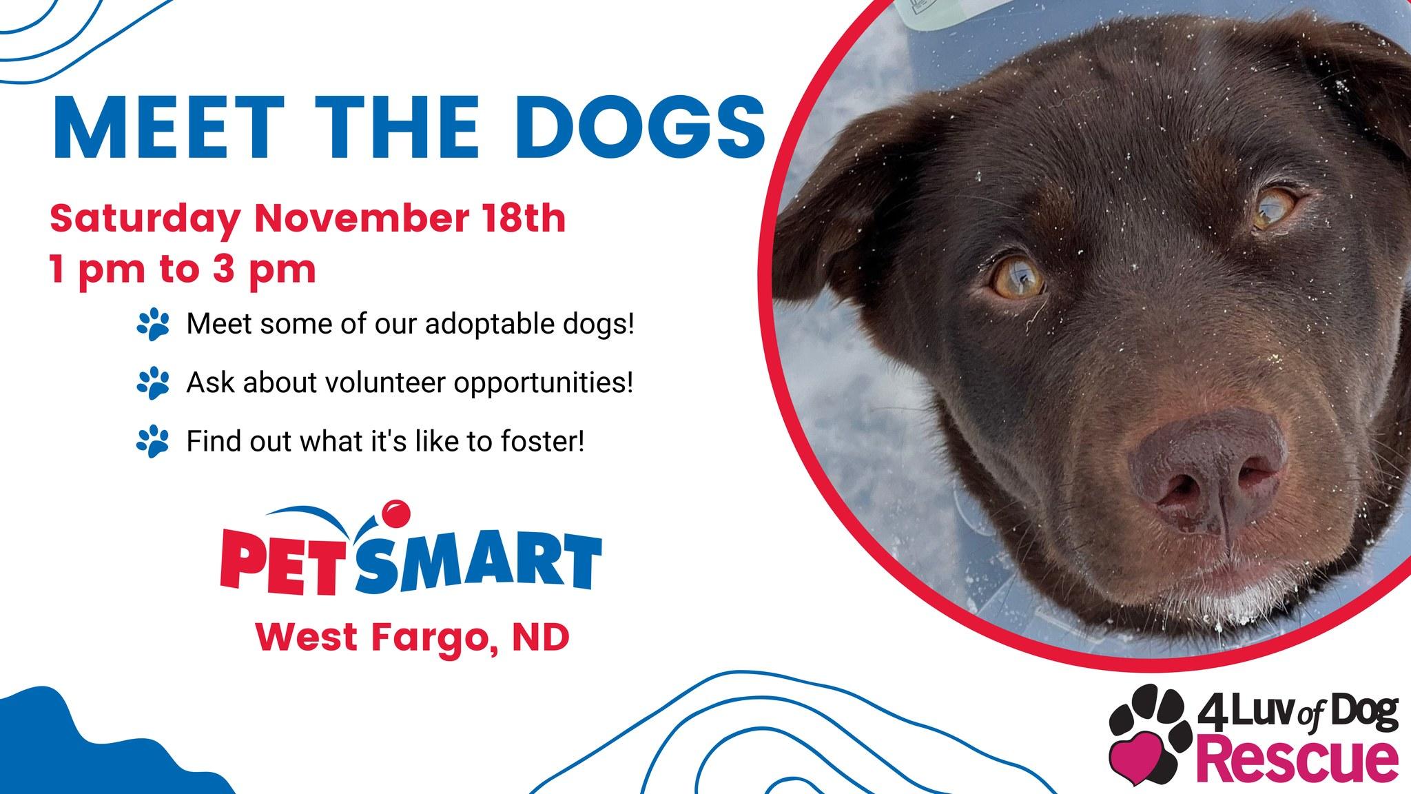 Meet the Dogs - West Fargo, ND PetSmart Event - November 18, 2023