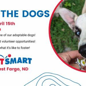 Meet the Dogs - West Fargo, ND PetSmart Event - April 15, 2023