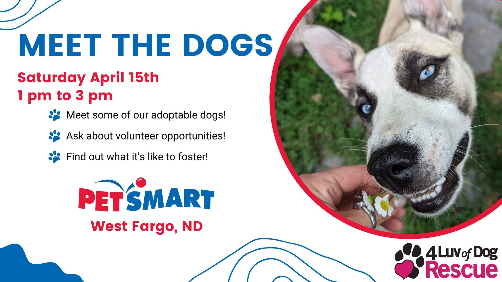 Meet the Dogs - West Fargo, ND PetSmart Event - April 15, 2023