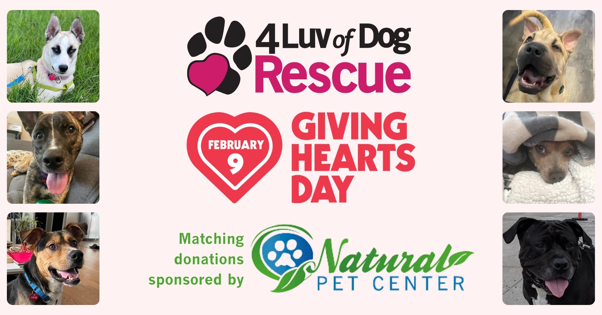 Giving Hearts Day - 4 Luv of Dog Rescue Event - February 9, 2023