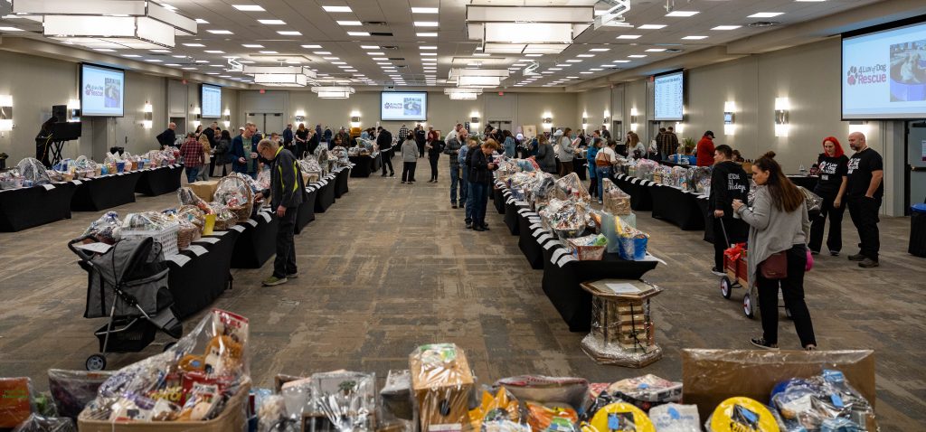 4 Luv of Dog Rescue Annual Silent Auction 2023